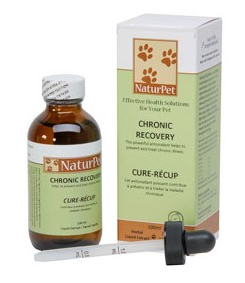 Holistic, Homeopathic, and Herbal Pet Supplements & Remedies