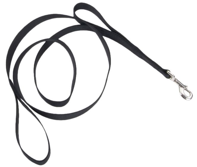 Coastal Loops 2 Traffic Lead 6' Black