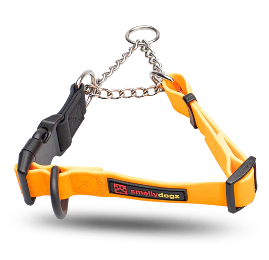 SmellyDogz Waterproof Martingale Collar Pink Small 14"-16" - 3/4" SALE