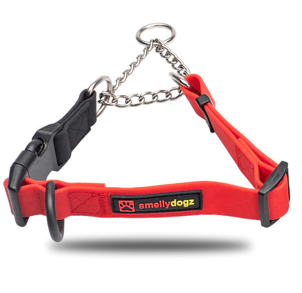 SmellyDogz Waterproof Martingale Collar Blue Large 18"-22" - 1" SALE