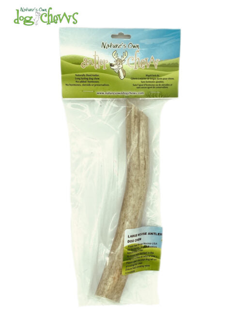 FHP Moose Antler Large