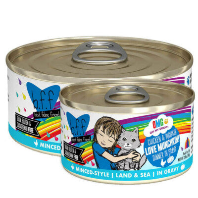 OMG Chicken & Pumpkin Cat Can 5.5oz