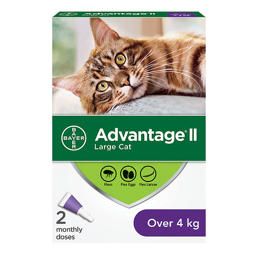 Advantage II For Cats 4kg+ (2 monthly doses)