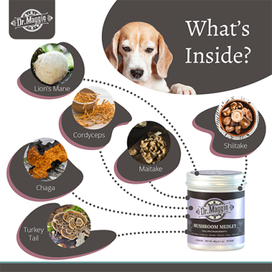 NaturPet® Dr. Maggie Organic Mushroom Medley for Cats & Dogs 88g