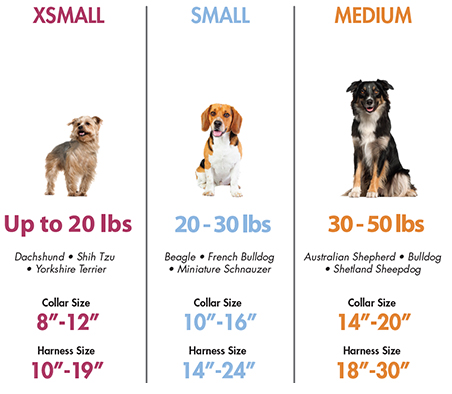 Coastal Ribbon Adjustable Dog Harness Red with Paws XXS