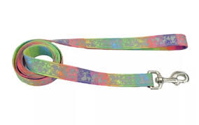 Lazer Brite Reflective Open Design Leash Rainbow Hearts Dog 1pc 1inx6ft