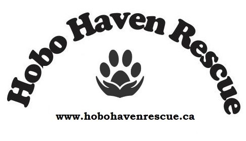Hobo Haven Rescue Donation