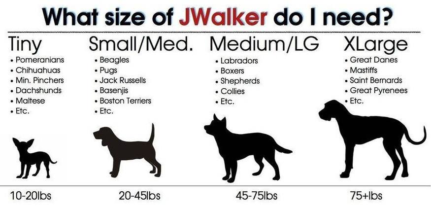 JWalker Harness RED SM