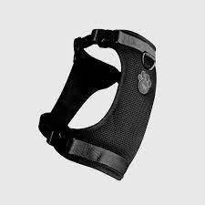 Canada Pooch Everything Harness - Mesh Series Black Small