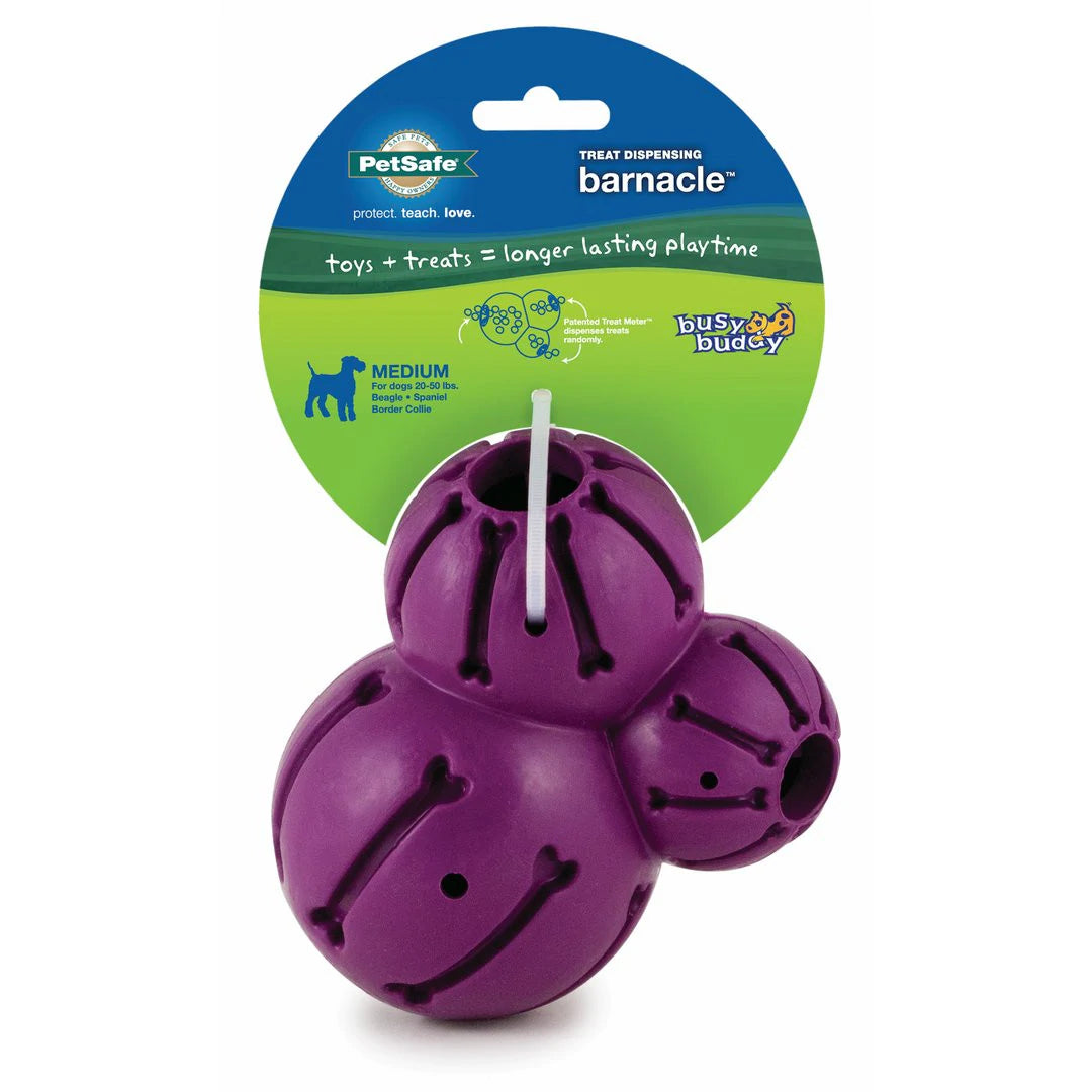 Petsafe Busy Buddy Barnacle Small