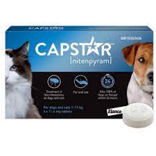 Capstar Flea Pill 1-11kg