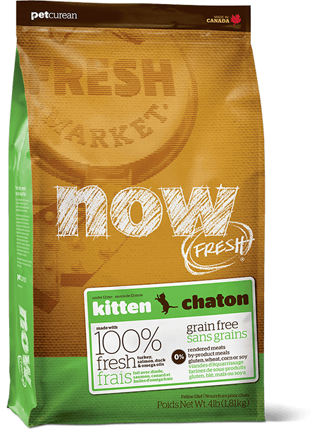 Now Fresh Kitten Food 3lb Creature Comfort Pet Emporium