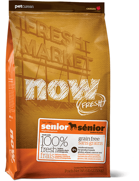 Now Fresh Senior dog