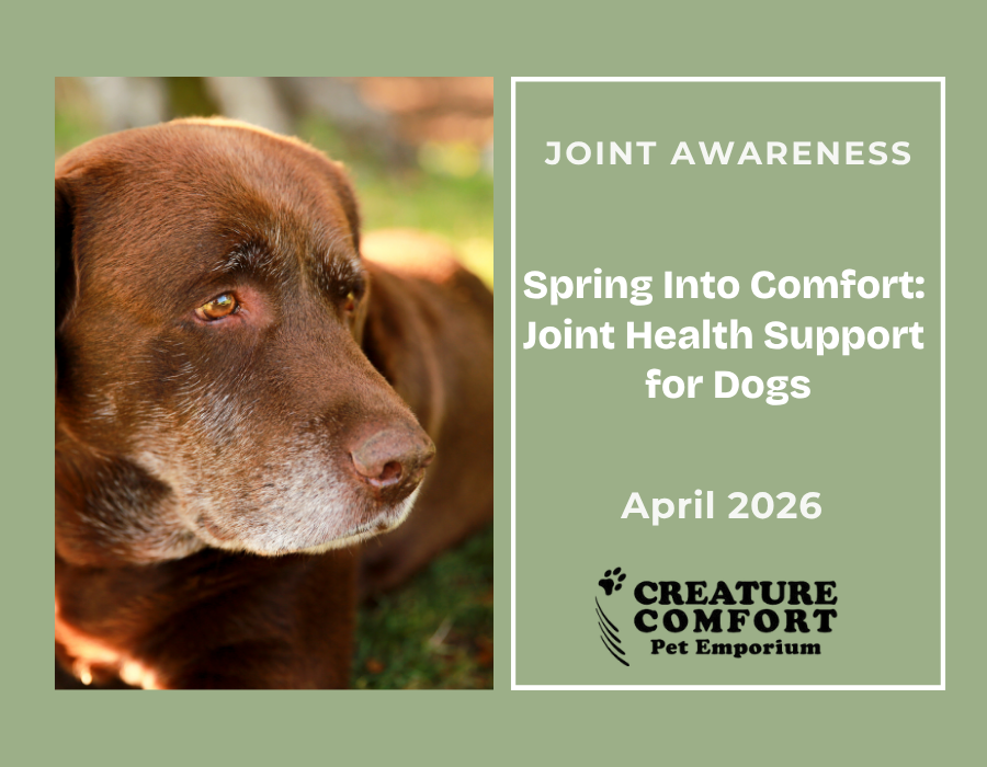 Spring Into Comfort: Joint Health Support for Dogs (and Why Quality Matters)