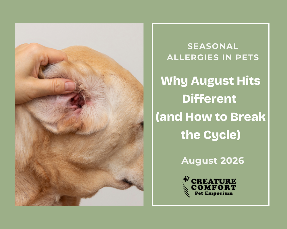 Seasonal Allergies in Pets: Why August Hits Different (and How to Break the Cycle)