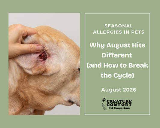 Seasonal Allergies in Pets: Why August Hits Different (and How to Break the Cycle)