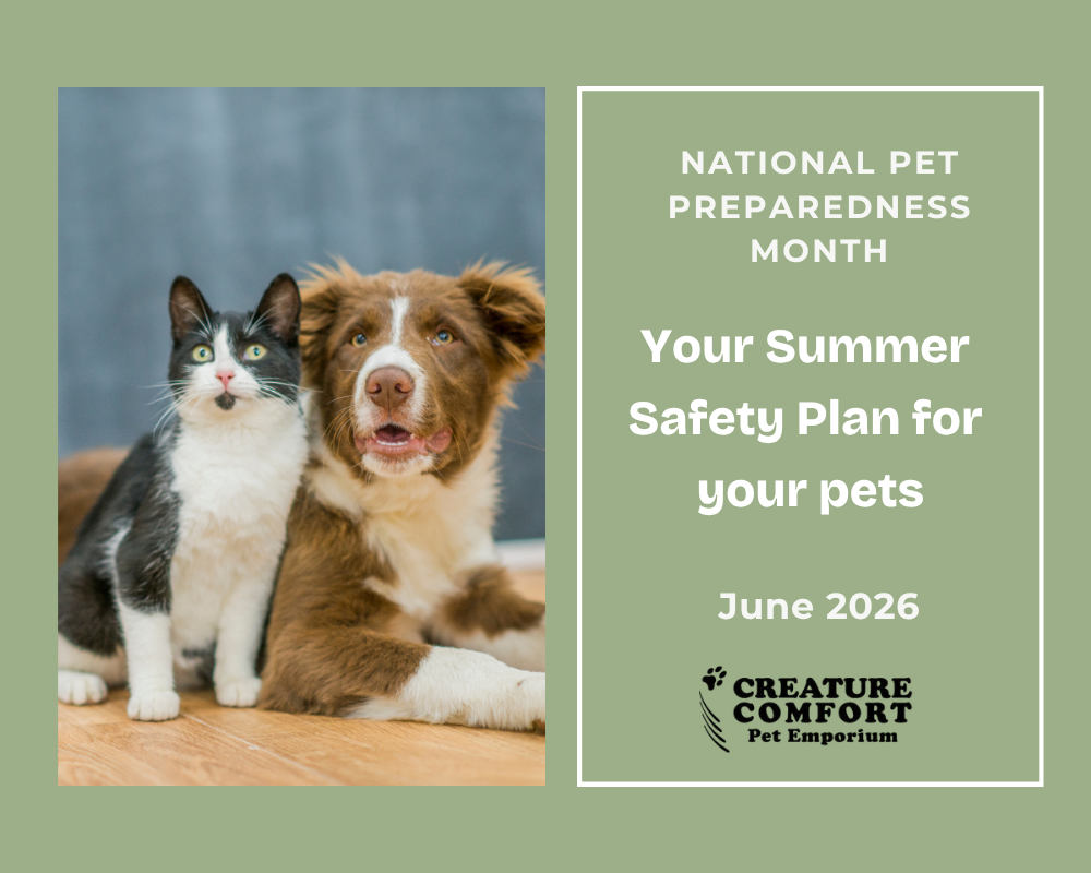 National Pet Preparedness Month: Your Summer Safety Plan for your pets