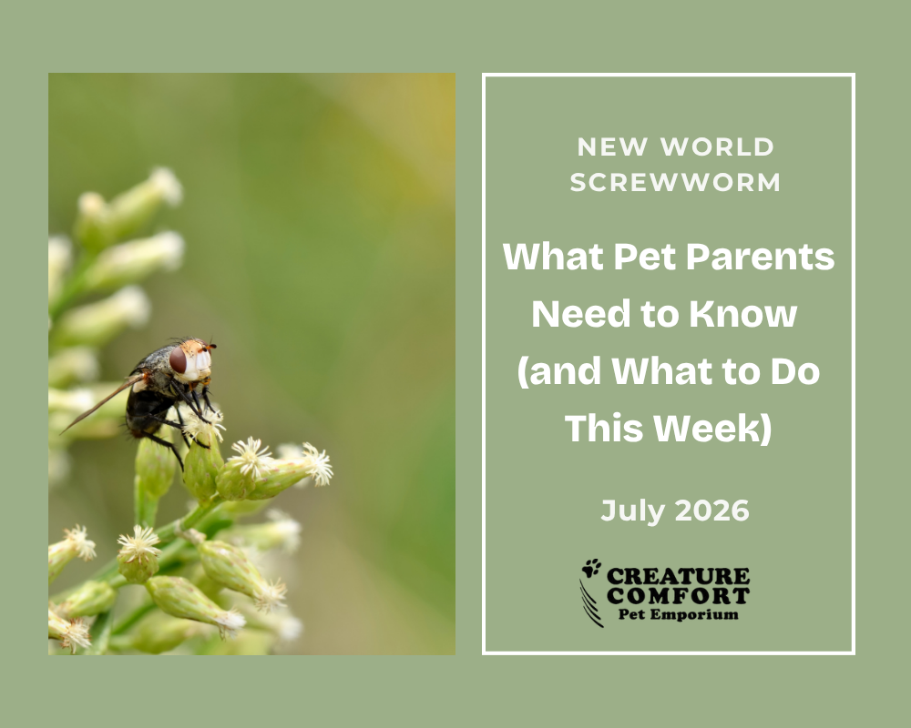 New World Screwworm: What Pet Parents Need to Know (and What to Do This Week)