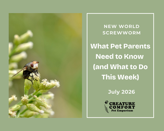 New World Screwworm: What Pet Parents Need to Know (and What to Do This Week)