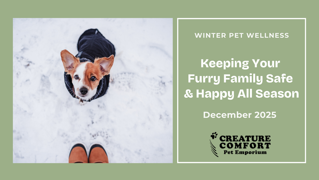 Winter Wellness for Pets: Keeping Your Furry Family Safe & Happy All Season