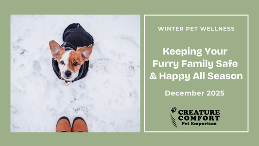 Winter Wellness for Pets: Keeping Your Furry Family Safe & Happy All Season