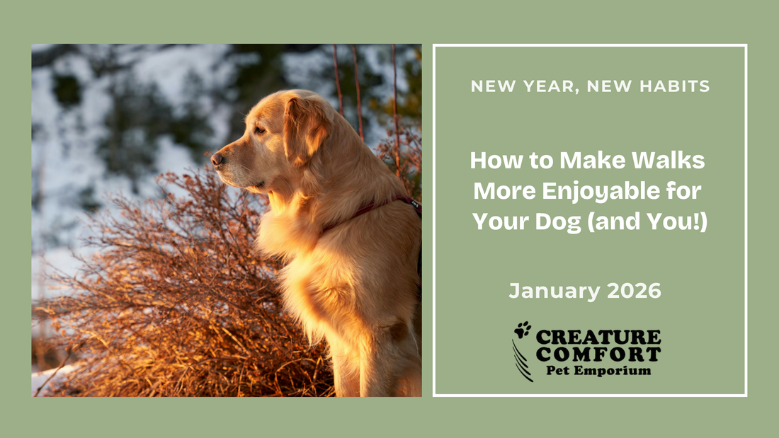 New Year, New Habits: How to Make Walks More Enjoyable for Your Dog (and You!)