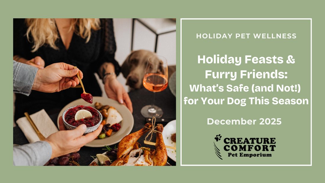 Holiday Feasts & Furry Friends: What’s Safe (and Not!) for Your Dog This Season