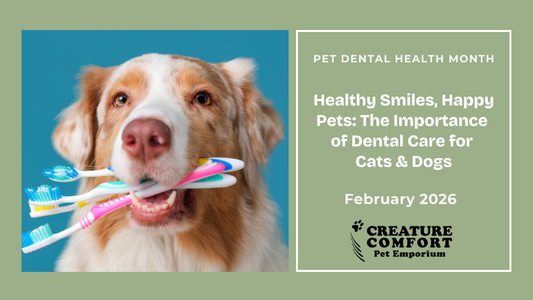 Healthy Smiles, Happy Pets: The Importance of Dental Care for Cats & Dogs