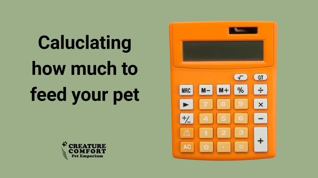 Raw Feeding Calculator for Dogs and Cats: How Much Raw Should You Feed?