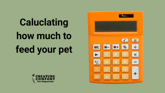 Raw Feeding Calculator for Dogs and Cats: How Much Raw Should You Feed?