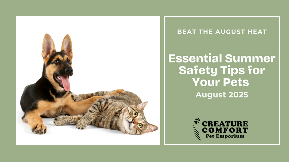 Beat the August Heat: Essential Summer Safety Tips for Your Pets 🐾