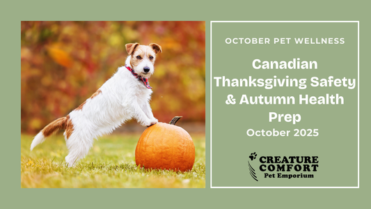 October Pet Wellness: Canadian Thanksgiving Safety & Autumn Health Prep