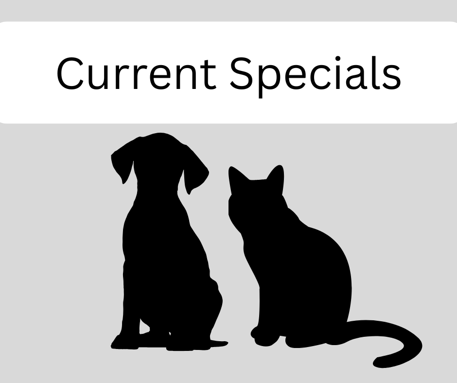 Current Specials