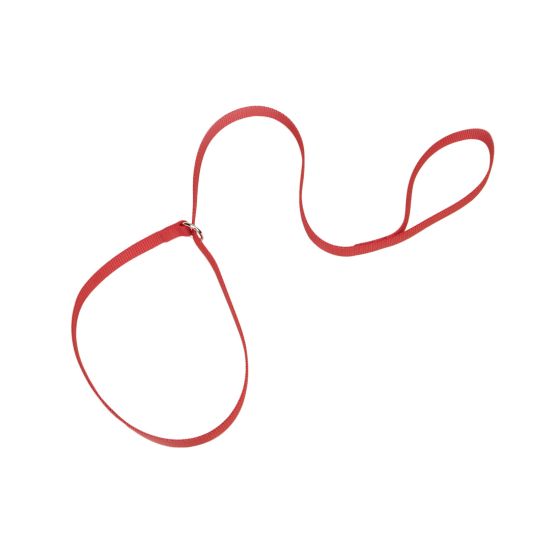 Coastal Nylon Kennel Leash Red Dog 1pc 5/8inx6ft