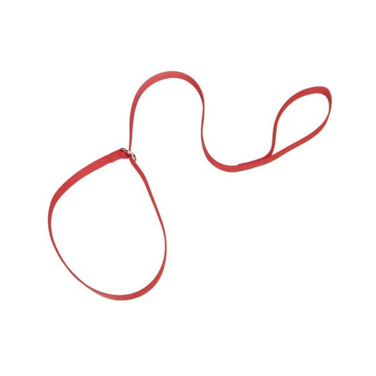 Coastal Nylon Kennel Leash Red Dog 1pc 5/8inx6ft