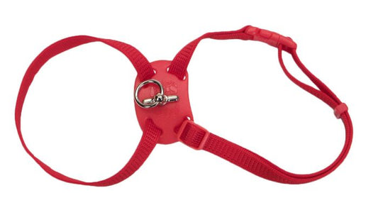 Size Right Nylon Cat Harness 12-18" Red