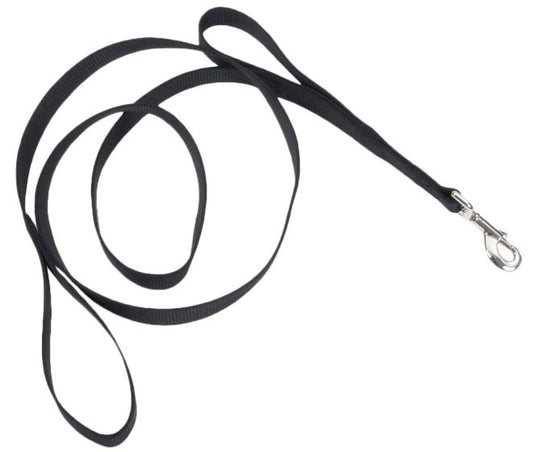 Coastal Loops 2 Traffic Lead 6' Black