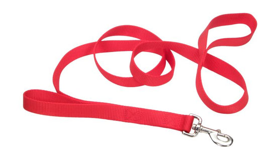 Coastal Loops 2 Traffic Lead 6' Red