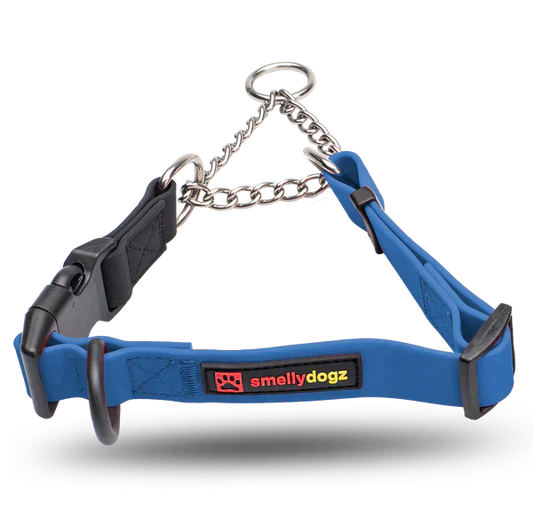 SmellyDogz Waterproof Martingale Collar Blue Large 18"-22" - 1" SALE