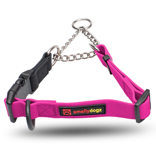SmellyDogz Waterproof Martingale Collar Pink Small 14"-16" - 3/4" SALE