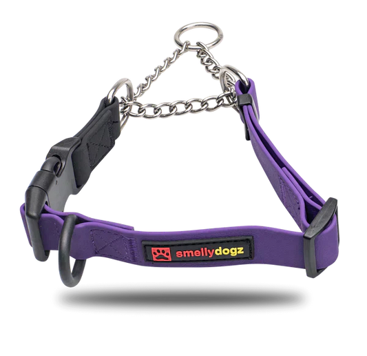 SmellyDogz Waterproof Martingale Collar Orange Large 18"-22" - 1" SALE