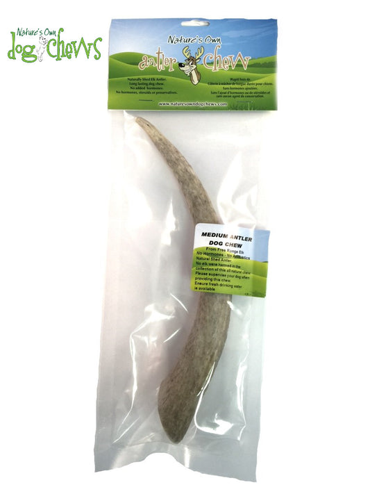 FHP Antler Med