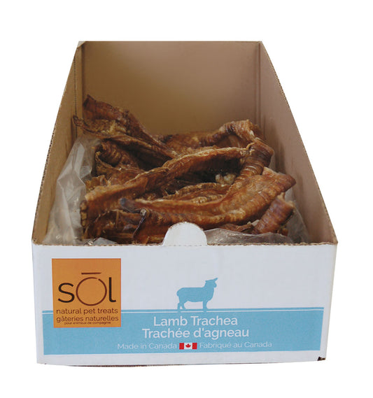 sol Lamb Trachea - Bulk singles