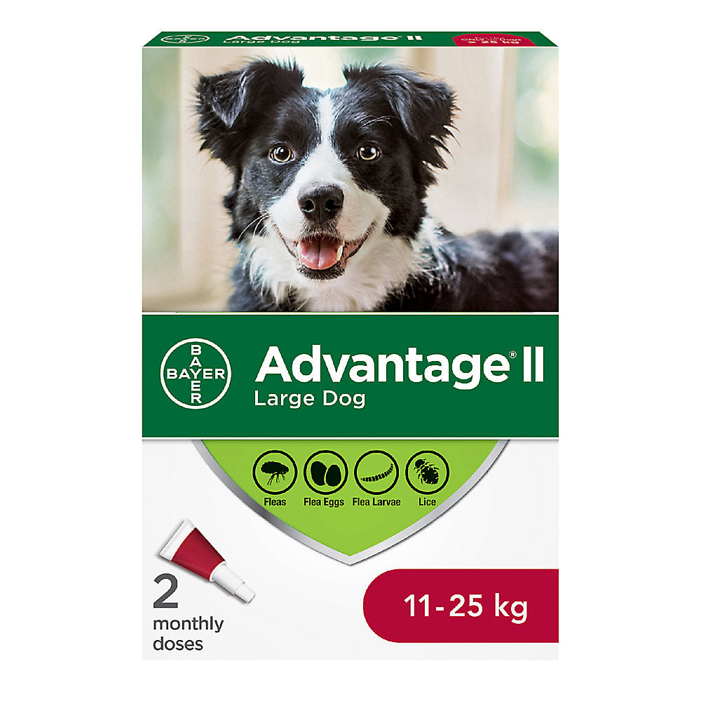 Advantage ll For Dogs Large 11kg-25kg (2 monthly doses)