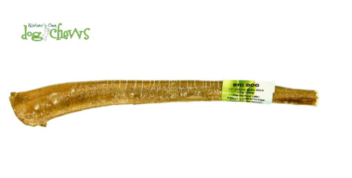 FHP Big Dog Bully Stick 12" Thick