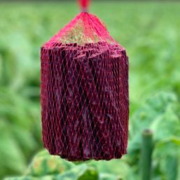 Benko Beef and Garlic Sticks 50 pack