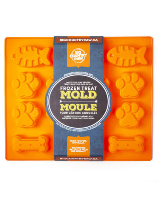 Big Country Raw Silicone Freezer Molds Large Orange