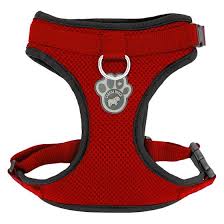 Canada Pooch Everything Harness - Mesh Series Red Medium