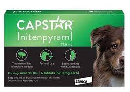 Capstar Flea Pill 11-57kg