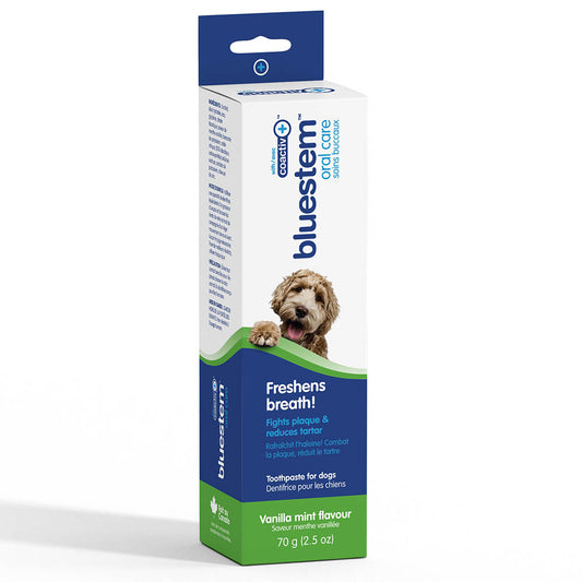 Bluestem Oral Care Toothpaste Chicken 70gm